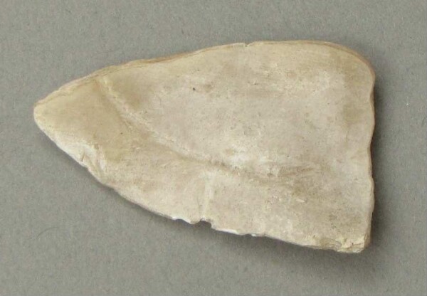 coquille de moule de rivière (fragment)