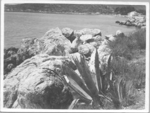 Mlini. Küstenlandschaft