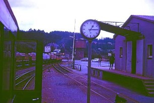 Belecke