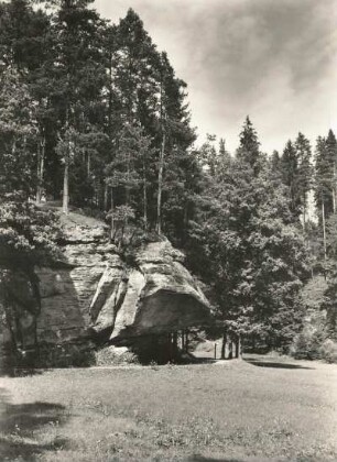 Sächsische Schweiz. Hinterhermsdorf. Am Klausenweg, Nähe Böhmische Mühle