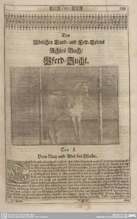 Des Adelichen Land- und Feld-Lebens Achtes Buch/Pferd-Zucht.