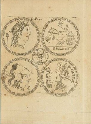 Abbildung: Tab. IV. p. 17