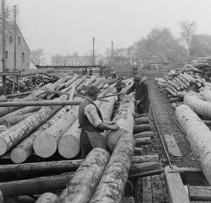 Nachmessen der Stämme auf dem Lagerplatz : Technikgeschichte | Technologie | Holzgewinnung und Bearbeitung