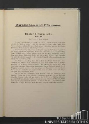 Zwetschen und Pflaumen.