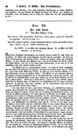 Cap. XII. Der rothe Ahorn. Acer rubrum. Lin.