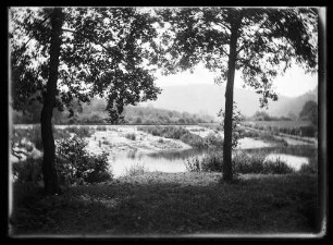 Blick durch Bäume auf Fluss (evtl. Tauber) und gegenüberliegendes Ufer