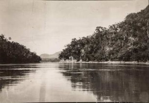 Rio Beni (Sammlung Richard Wegner 1869/1931)