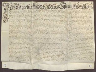 Instrumentum cautionis des Ernst Friedrich Sturmfeder von Oppenweiler.