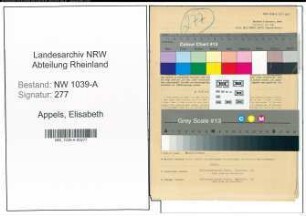Entnazifizierung Elisabeth Appels , geb. 15.09.1914 (Substitutin)