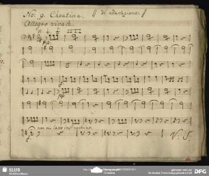 Einlage Cavatina (Giuseppe Nicolini): "Non son bella non son brutta"