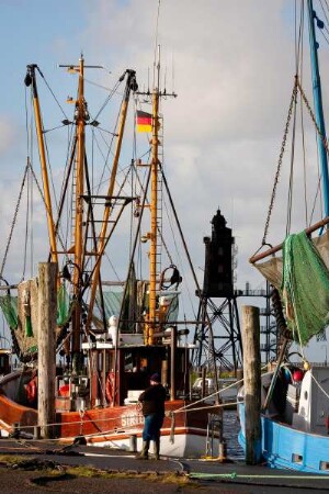Deutschland. Niedersachsen. Dorumer Neufeld. Kutter Hafen