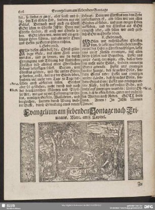 [Evangelium und Epistel am siebenden Sontage nach Trinitatis]