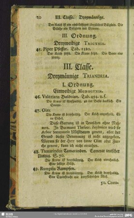 III. Classe. Dreymännige. Triandria