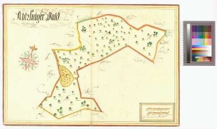 [Abtshäger Wald, Amt/Distrikt Franzburg] Abtzhager Wald Ampt Fransborg