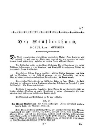 Der Maulbeerbaum. Morus. Linn. Meurier