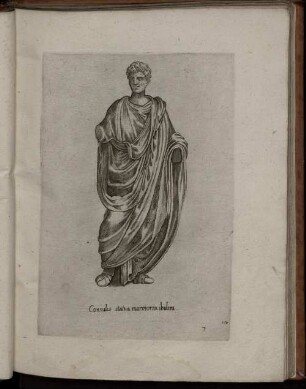 VII. Consulius statua marmorea ibidem.