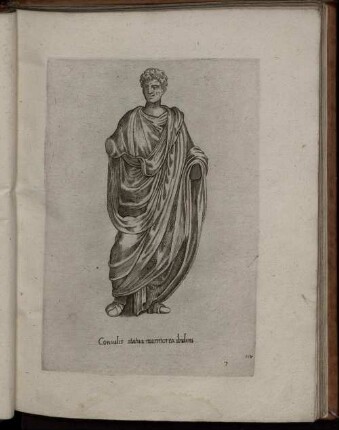 VII. Consulius statua marmorea ibidem.
