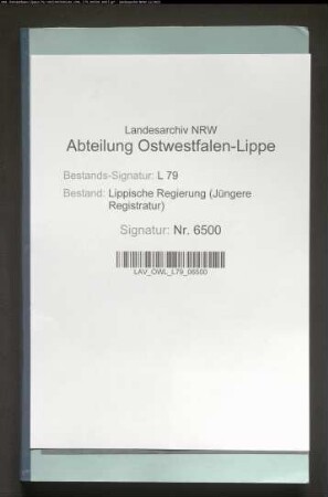 Außerordentliche Unterstützungen für Hinterbliebene gefallener Soldaten (Besonderes)