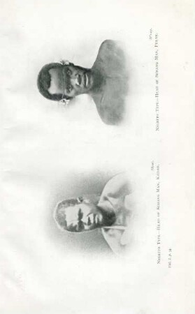 Negrito type - head of Semang man, Kedah. Negrito type - head of Semang man, Perak