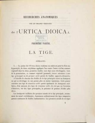 Recherches anatomiques sur les organes végétatifs de l'Urtica dioica L.
