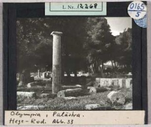 Olympia: Palästra