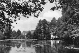 Grünewald-Sella. Blick über den Mühlteich zur Mühle