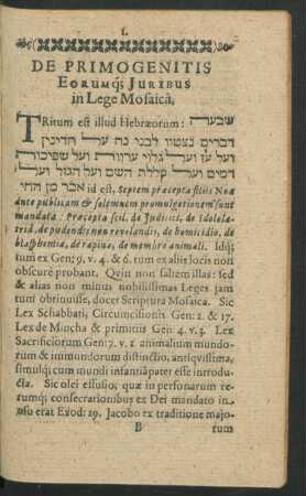 De Primogenetis Eorumque Juribus in Lege Mosaica.