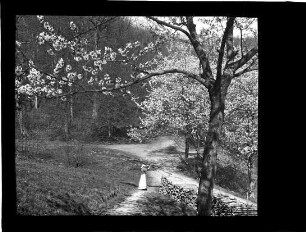 Frühling im Breisgau