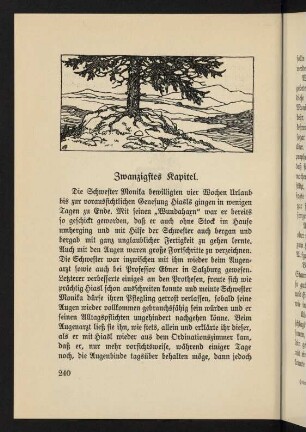 240-245, Zwanzigstes Kapitel