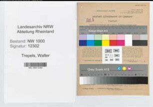 Entnazifizierung Walter Trepels, geb. 13.12.1909 (Techniker)