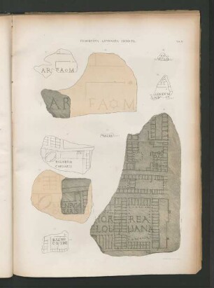 Fragmenta Litterata Incerta.
