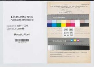 Entnazifizierung Albert Rossol, geb. 14.08.1893 (Lehrer)