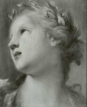 Eine Muse mit rosarotem Gewande