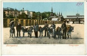 Heringsdorf. Eselgruppe