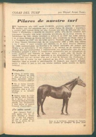 Pilares de nuestro turf : Cosas del turf