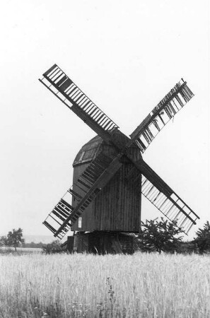 Sargstedt. Bockmühle, Baujahr 1842