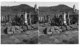 Friedhof : Kyoto. Friedhof