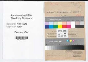 Entnazifizierung Karl Delmes , geb. 06.07.1903 (Nachtwaechter)