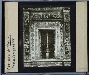 Pavia, Certosa di Pavia (Kartause) : Fenster