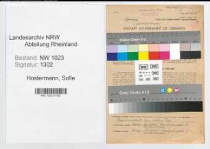 Entnazifizierung Sofie Hostermann , geb. 26.02.1890 (Fuersorgerin)