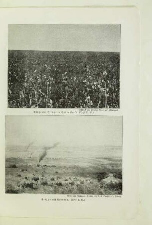 Blühende Steppe in Südrußland. (Text S. 32.)