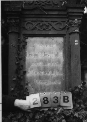 Grabstein 283 (Index: 100093349) Maße HxBxT: 237x72x45 cm Symbolik: Wappenschild mit Verzierungen, reich verziert: Grabstein 283B