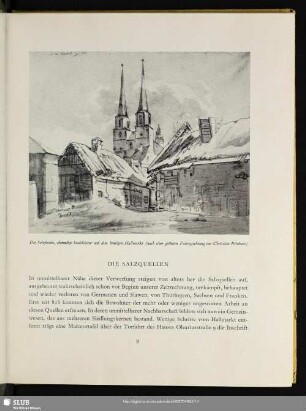 Die Salzquellen