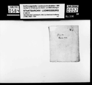 Verschiedene historiographische Notizen zu Römerzeit und Frühmittelalter im deutschen Südwesten [aus dem Nachlaß des Landvogteisteuerrats Heinrich Zeller]