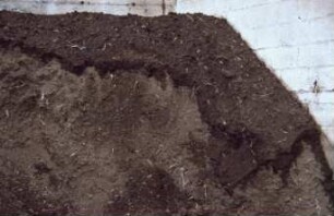 Fotografie: Studienreise, Lagertechnik, Maissilage, Flachsilo