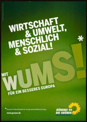 Bündnis 90/Die Grünen, Europawahl 2009