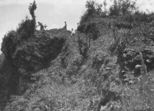 Berghang : Berghang mit Vegetation