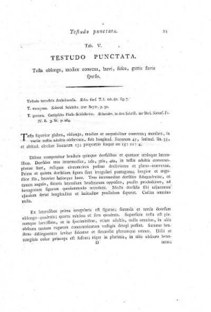 Tab. V. Testudo Punctata.