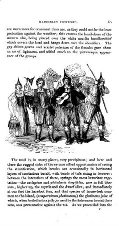 Group of Madeiranese