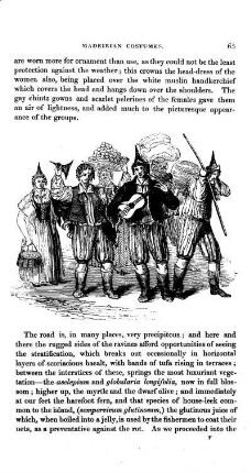 Group of Madeiranese
